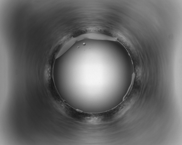 X0000095950356200801111354