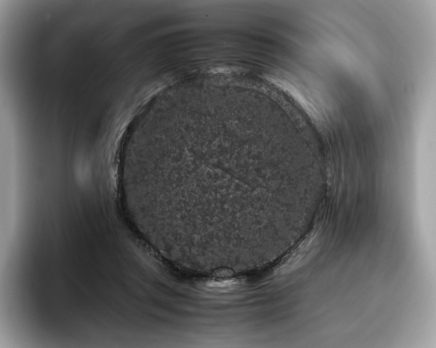 X0000095950357200801111354