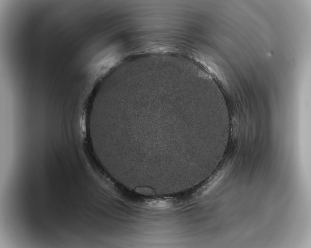 X0000095950358200801111354