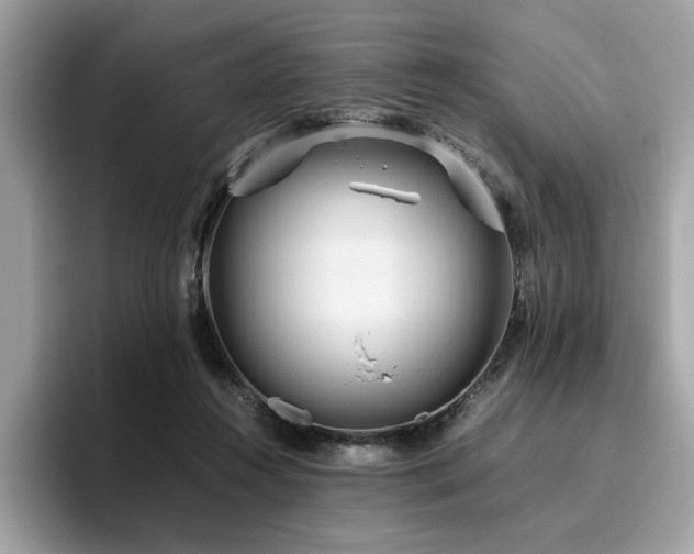 X0000095950360200801111354