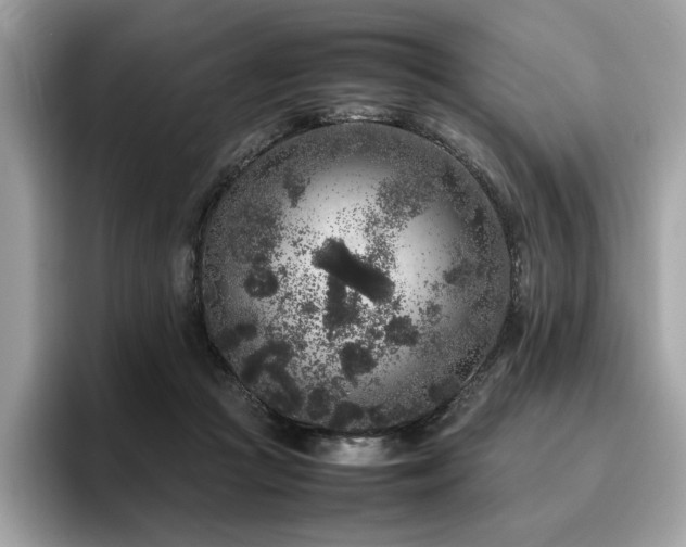X0000095950361200801111354
