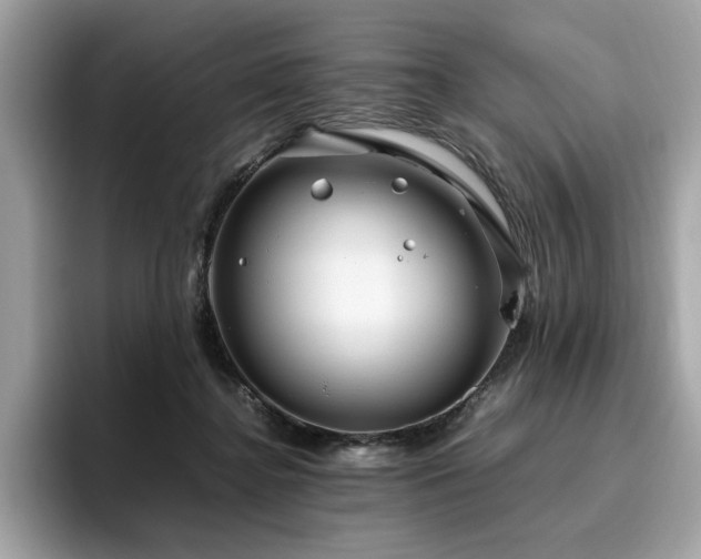 X0000095950364200801111354