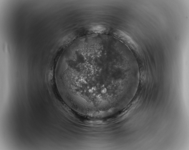 X0000095950365200801111354