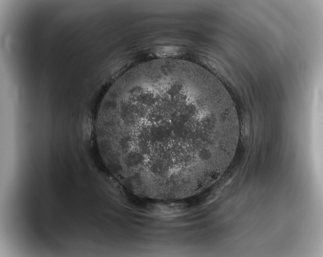 X0000095950367200801111354