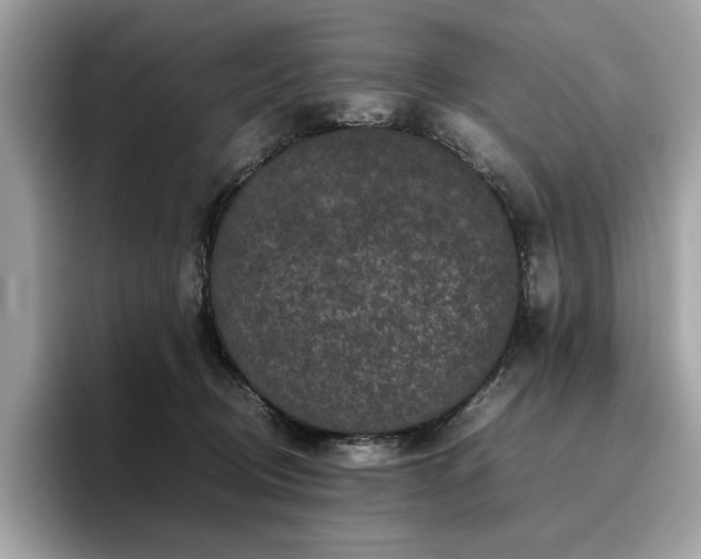 X0000095950370200801111354