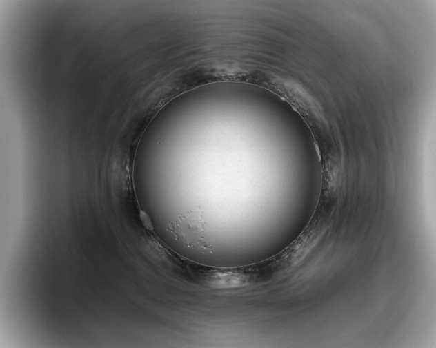 X0000095950376200801111355