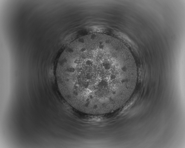 X0000095950377200801111355
