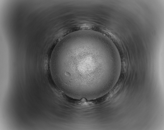 X0000095950379200801111355