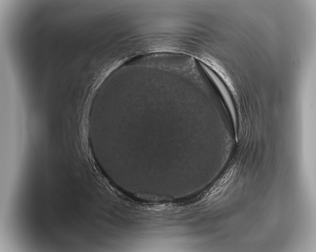 X0000095950385200801111354