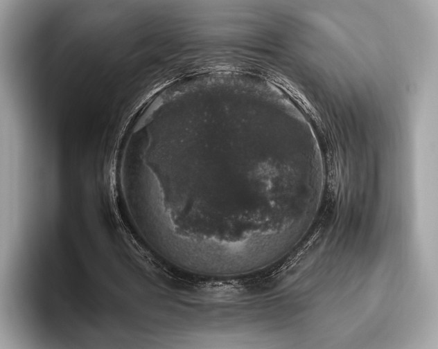 X0000095950386200801111354