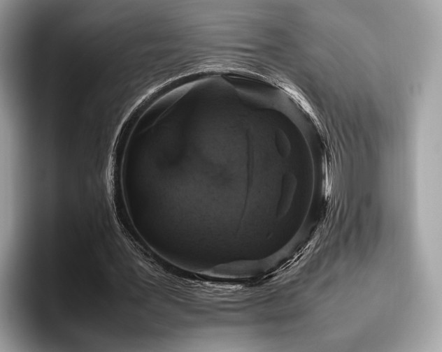 X0000095950387200801111354