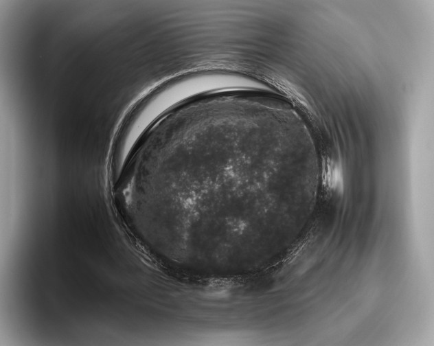 X0000095950388200801111354