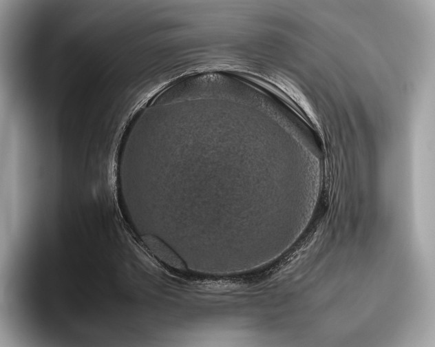 X0000095950389200801111354