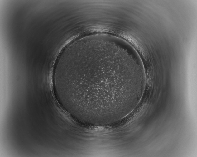 X0000095950390200801111354