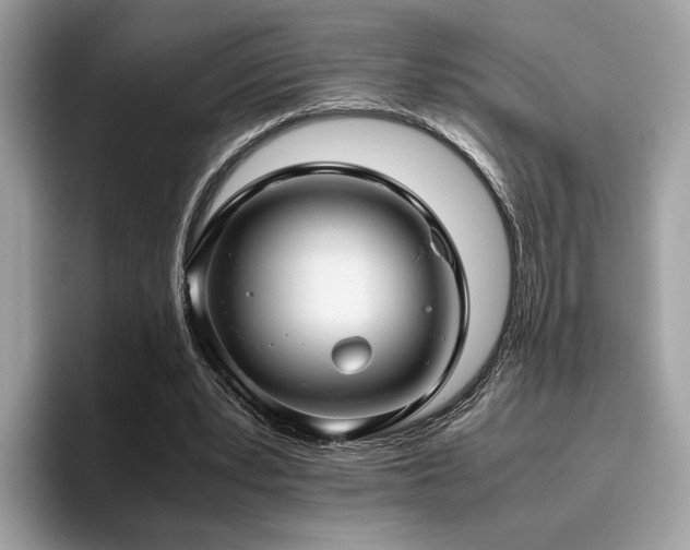 X0000095950391200801111354