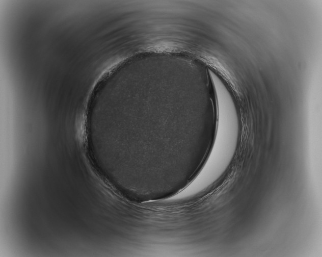X0000095950392200801111354