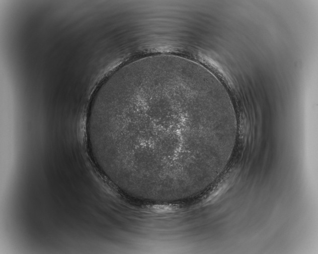 X0000095950394200801111354