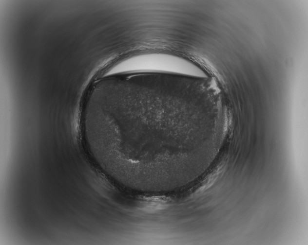 X0000095950396200801111354