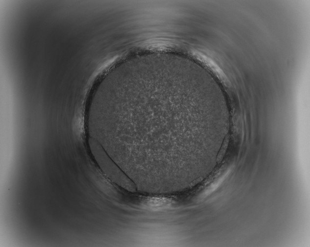 X0000095950399200801111354