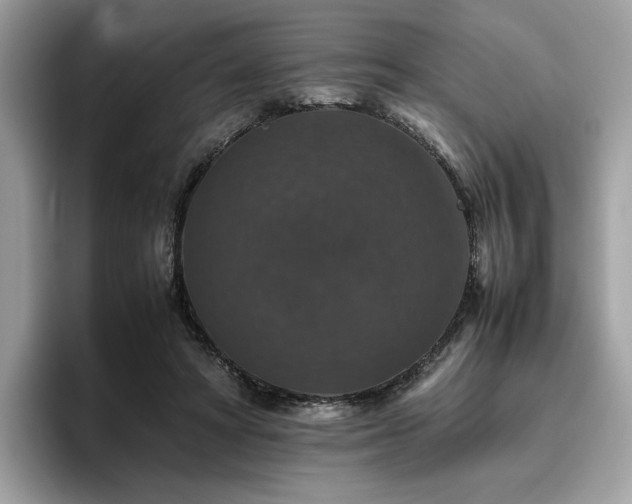 X0000095950402200801111354