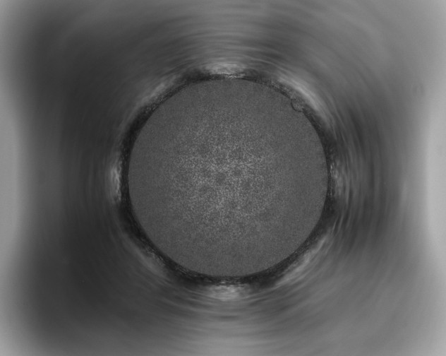 X0000095950404200801111354