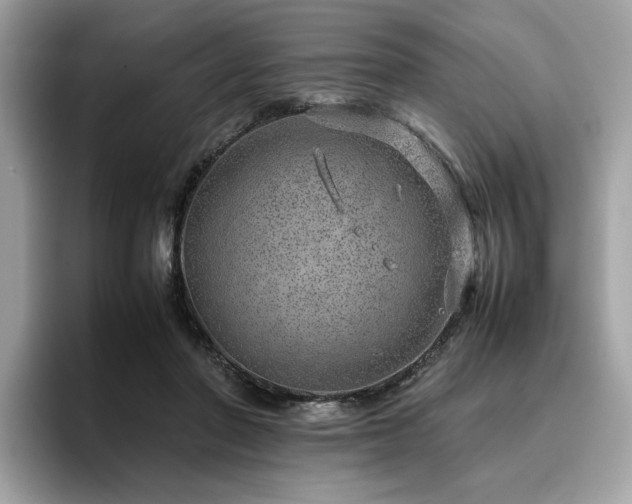 X0000095950406200801111354