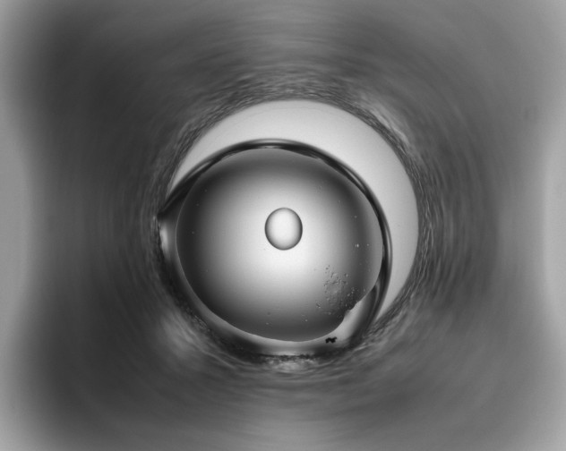 X0000095950407200801111354