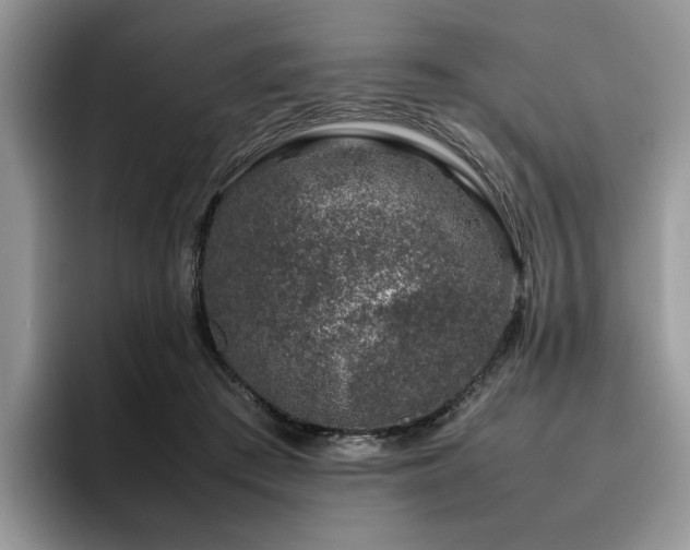 X0000095950409200801111354