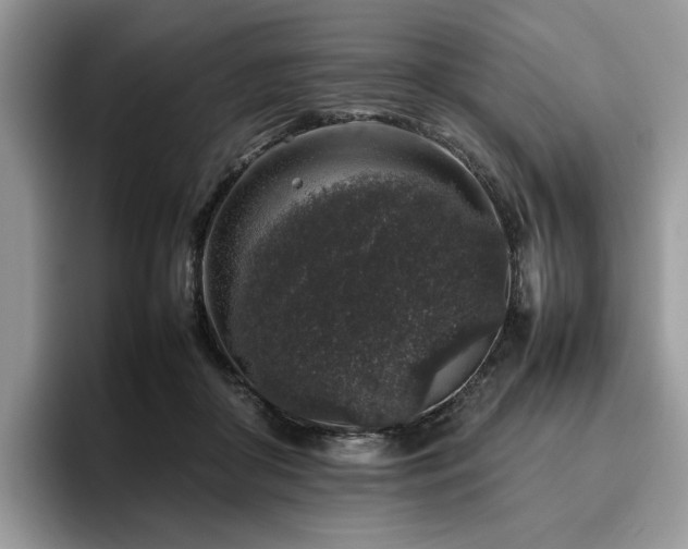 X0000095950410200801111354