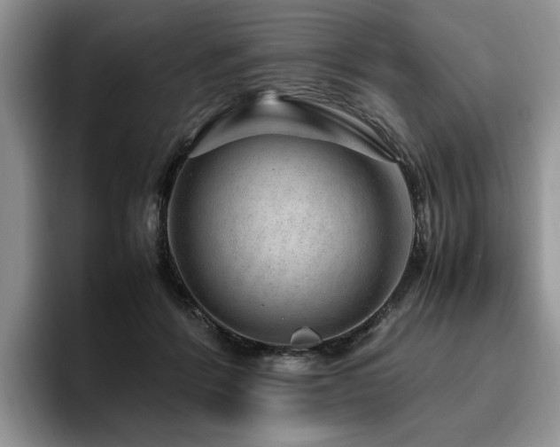 X0000095950412200801111354