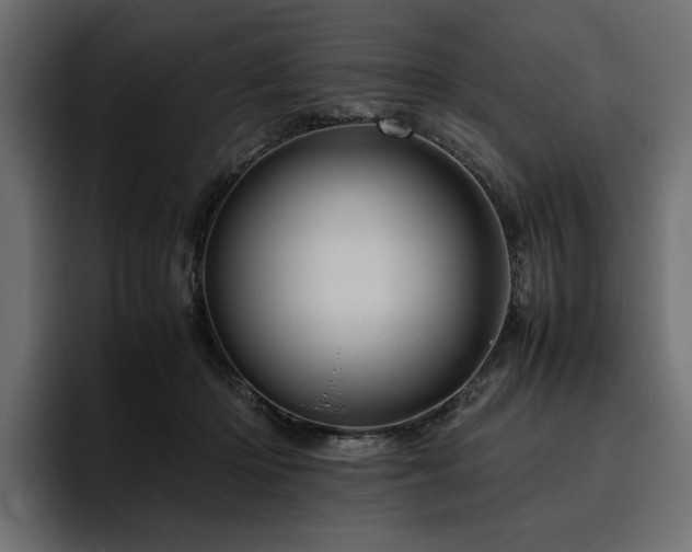 X0000095950414200801111354