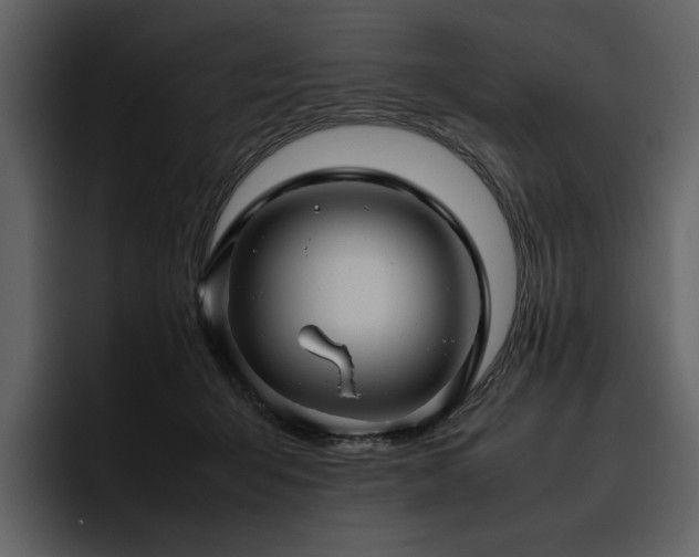 X0000095950415200801111354
