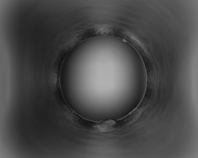X0000095950417200801111354