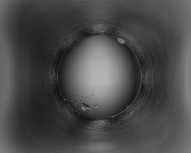 X0000095950418200801111354