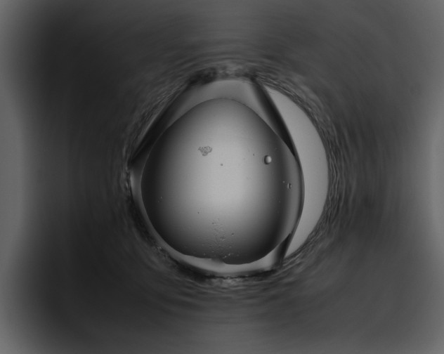 X0000095950419200801111354