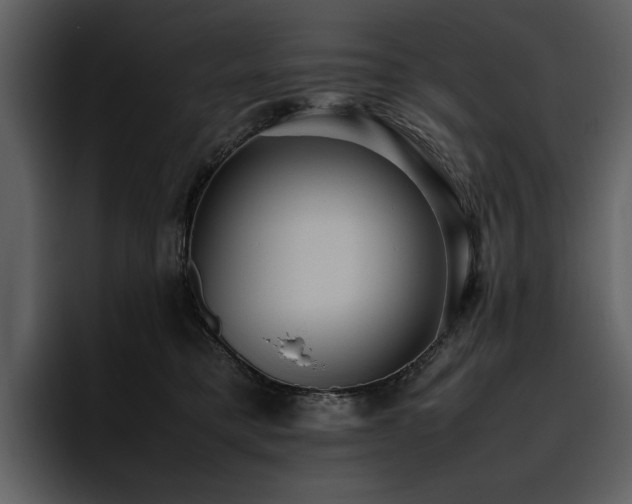 X0000095950421200801111354