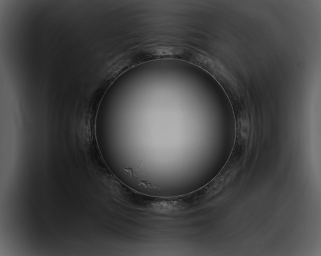 X0000095950422200801111354