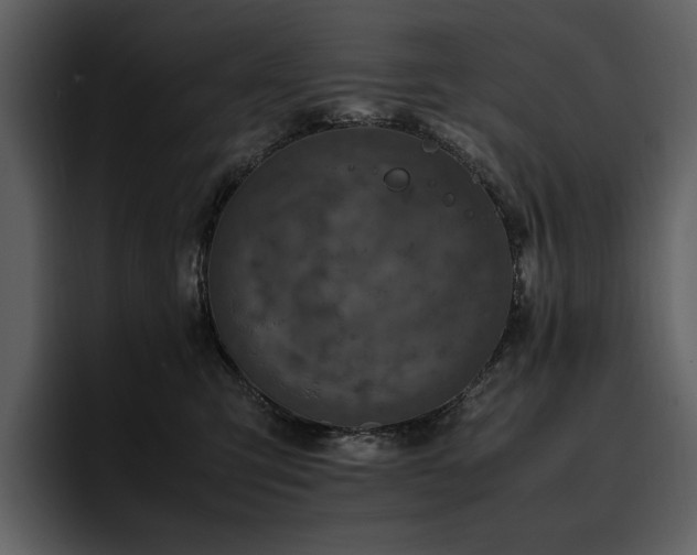 X0000095950423200801111354