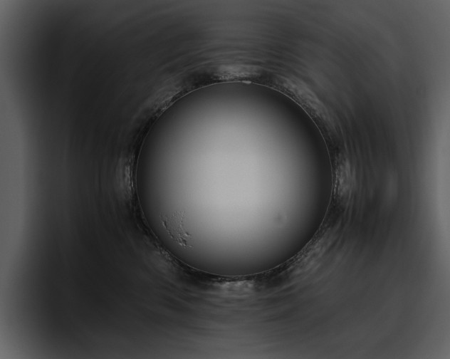 X0000095950426200801111353