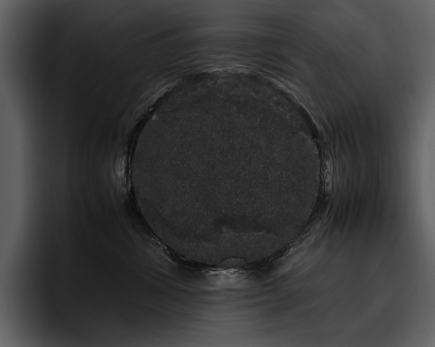 X0000095950428200801111353