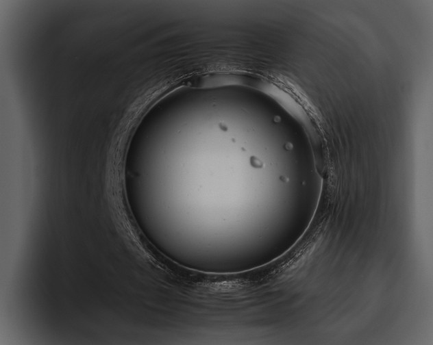 X0000095950433200801111353