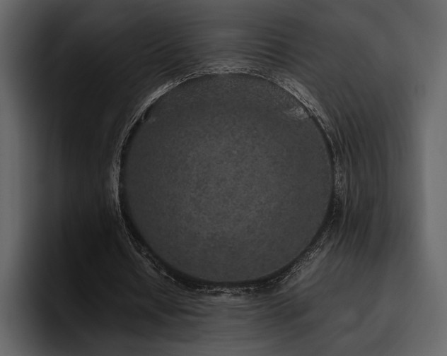 X0000095950434200801111353