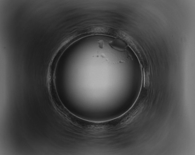 X0000095950435200801111353