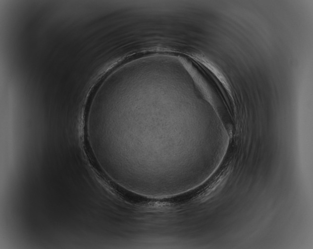 X0000095950437200801111353