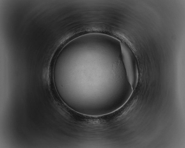 X0000095950439200801111353