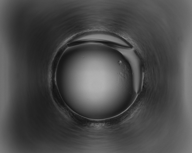 X0000095950440200801111353