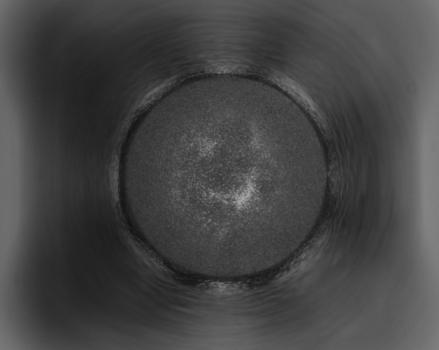 X0000095950442200801111353