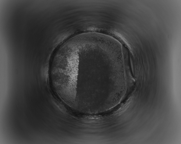 X0000095950443200801111353