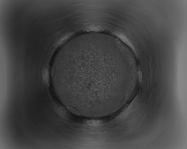 X0000095950444200801111353