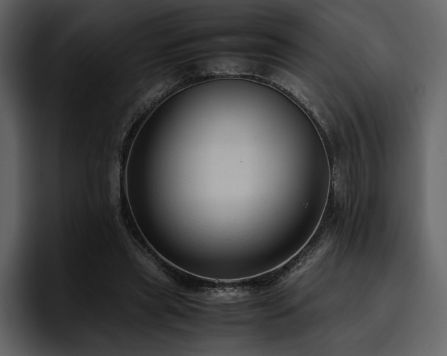 X0000095950445200801111353